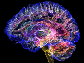 操小逼色图大脑植入物有助于严重头部损伤恢复